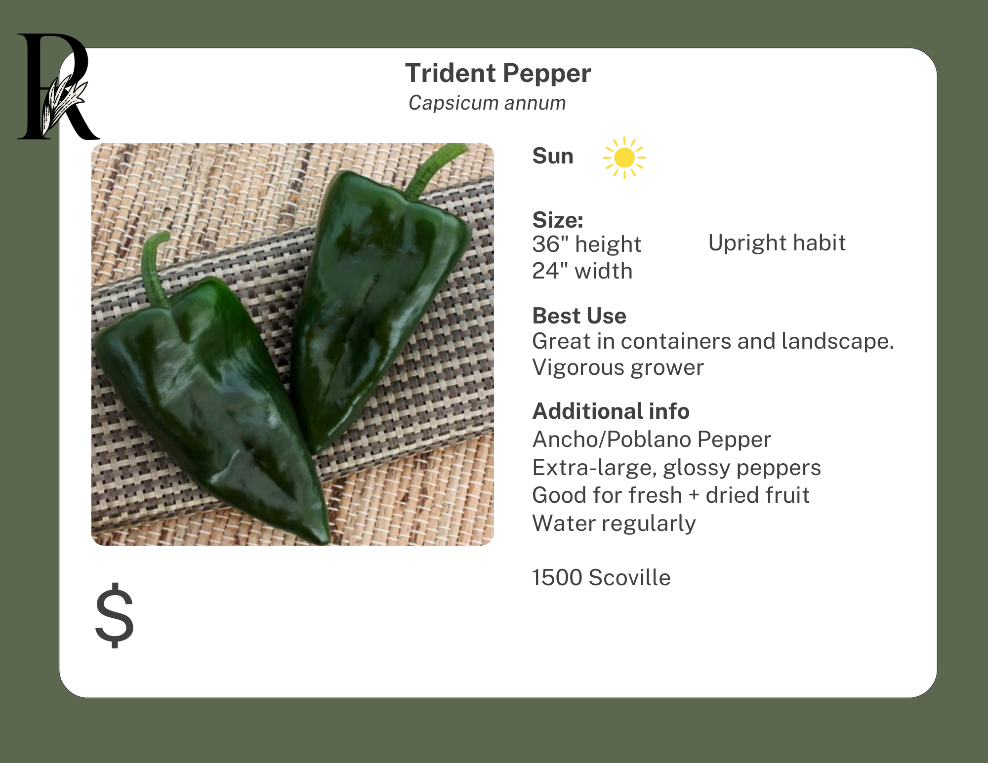 Triangle Pepper Trident Pepper – Riverdene Garden Centre