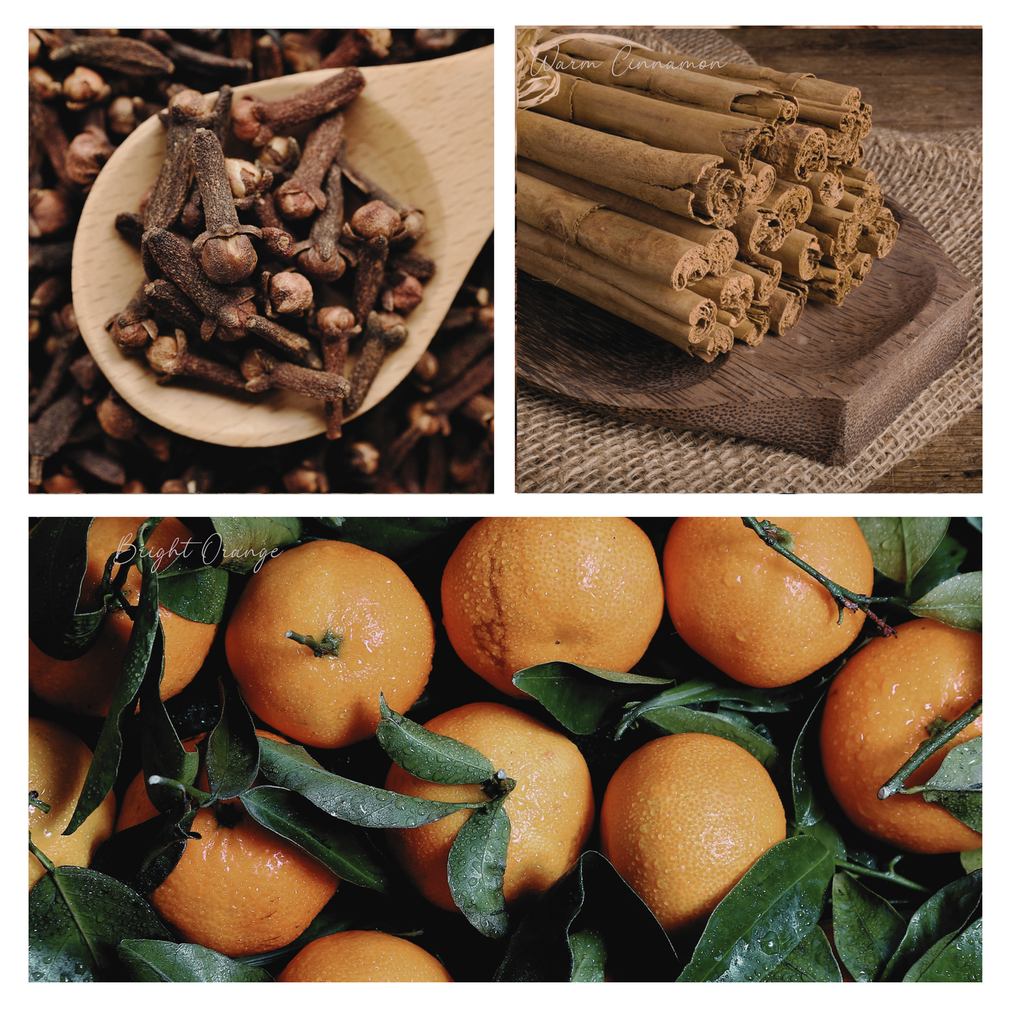 Be Merry & Bright Simmer Pot Mix, Limited Edition Holiday Aroma – Jar Edition