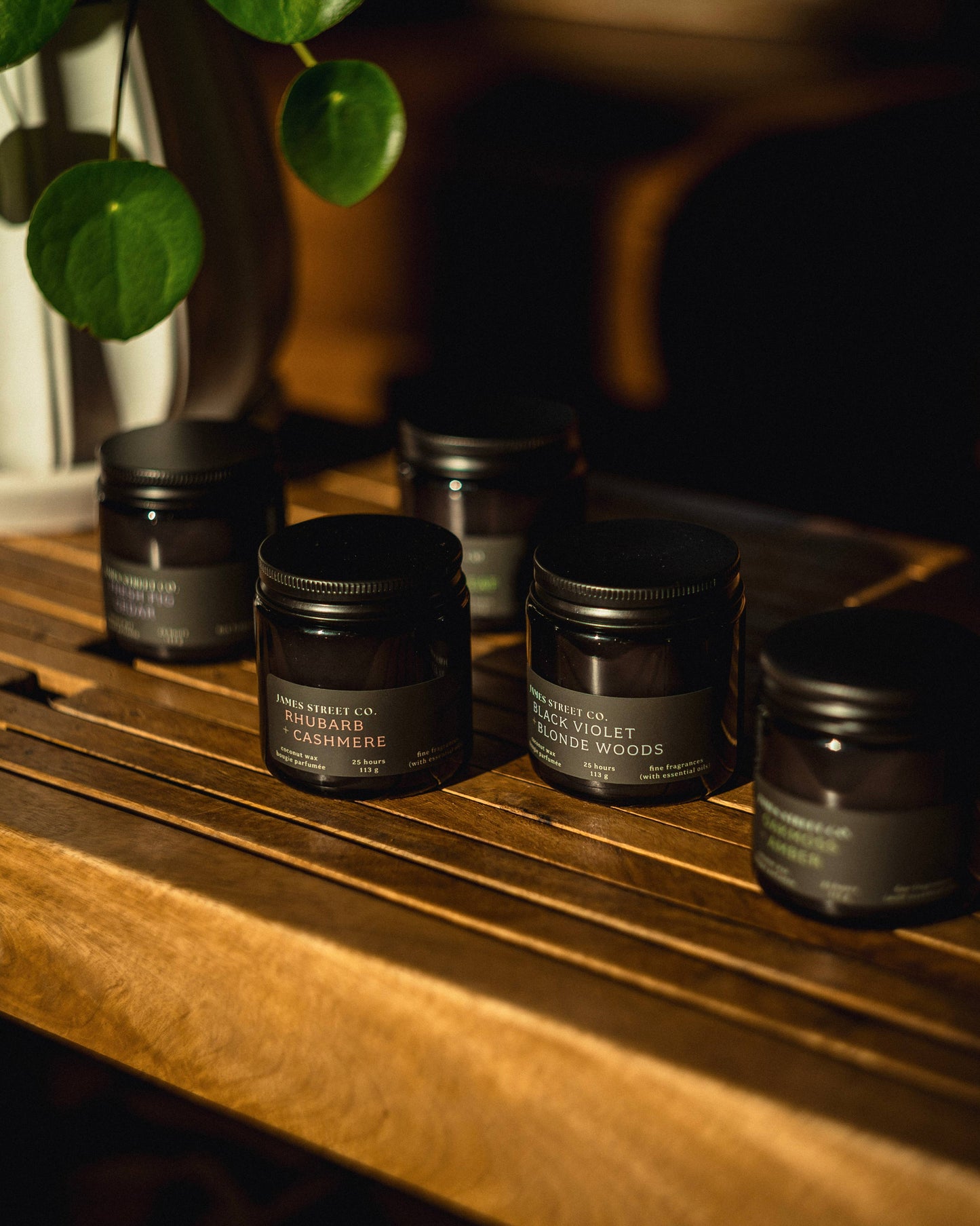 Fresh Fig + Cedar 8oz Candle 4oz Travel Candle: 4oz