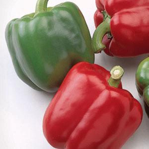 Baron Pepper