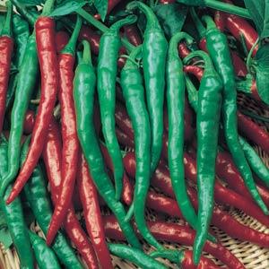 Cayenne Long Thin Pepper