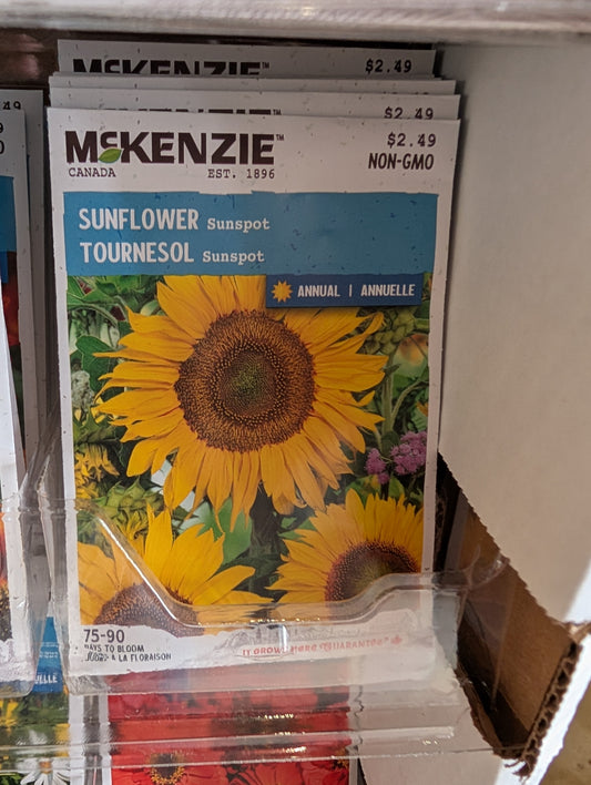 Sunspot Sunflower