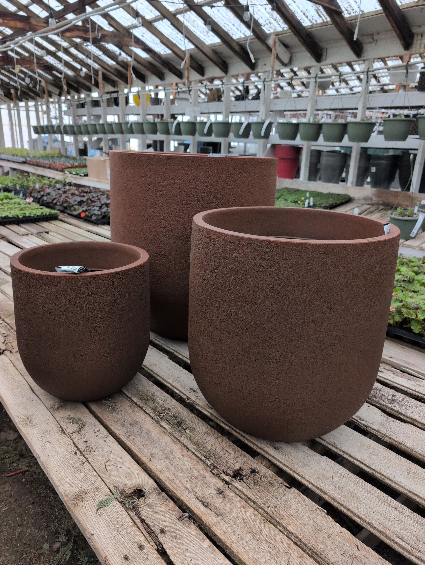 Rustic Cask Planter (Japi)