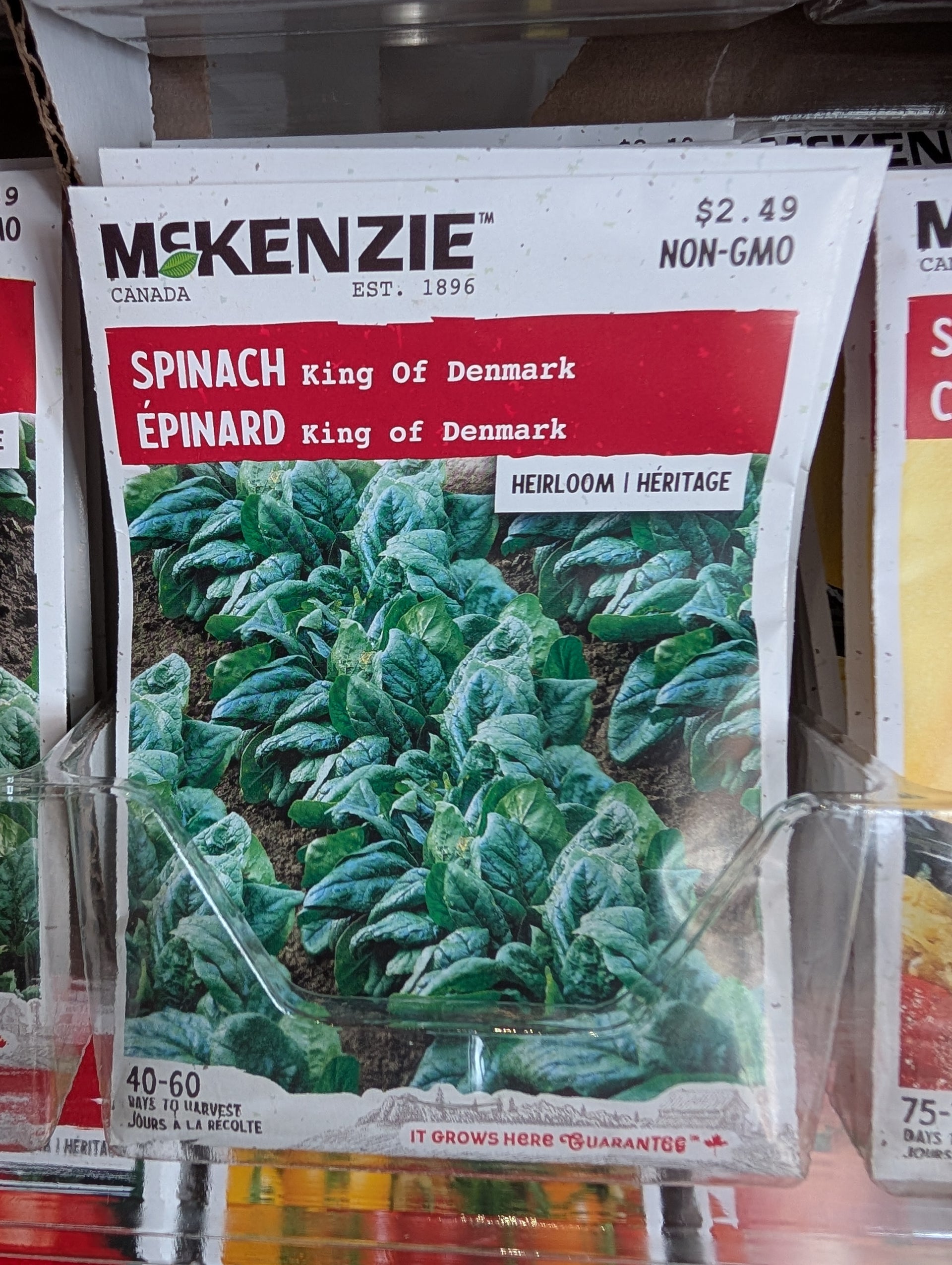 King of Denmark Spinach – Riverdene Garden Centre