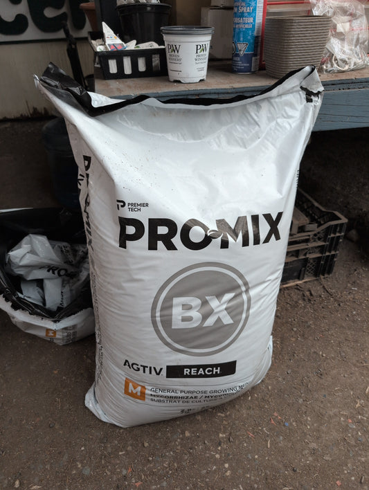 Promix BX Soilless