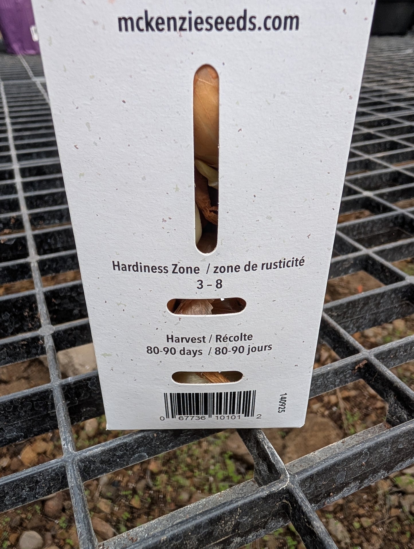 Spanish Onions