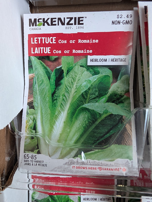Cos or Romaine Lettuce
