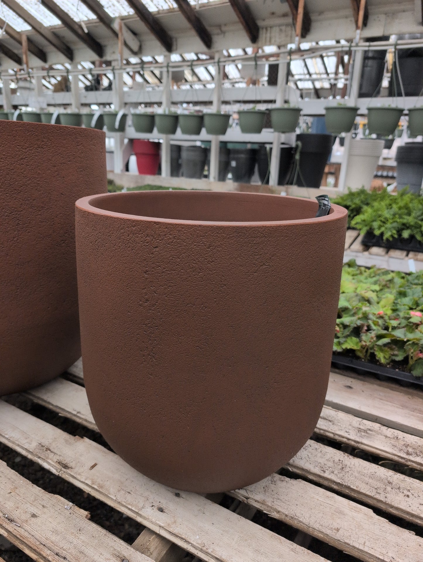 Rustic Cask Planter (Japi)