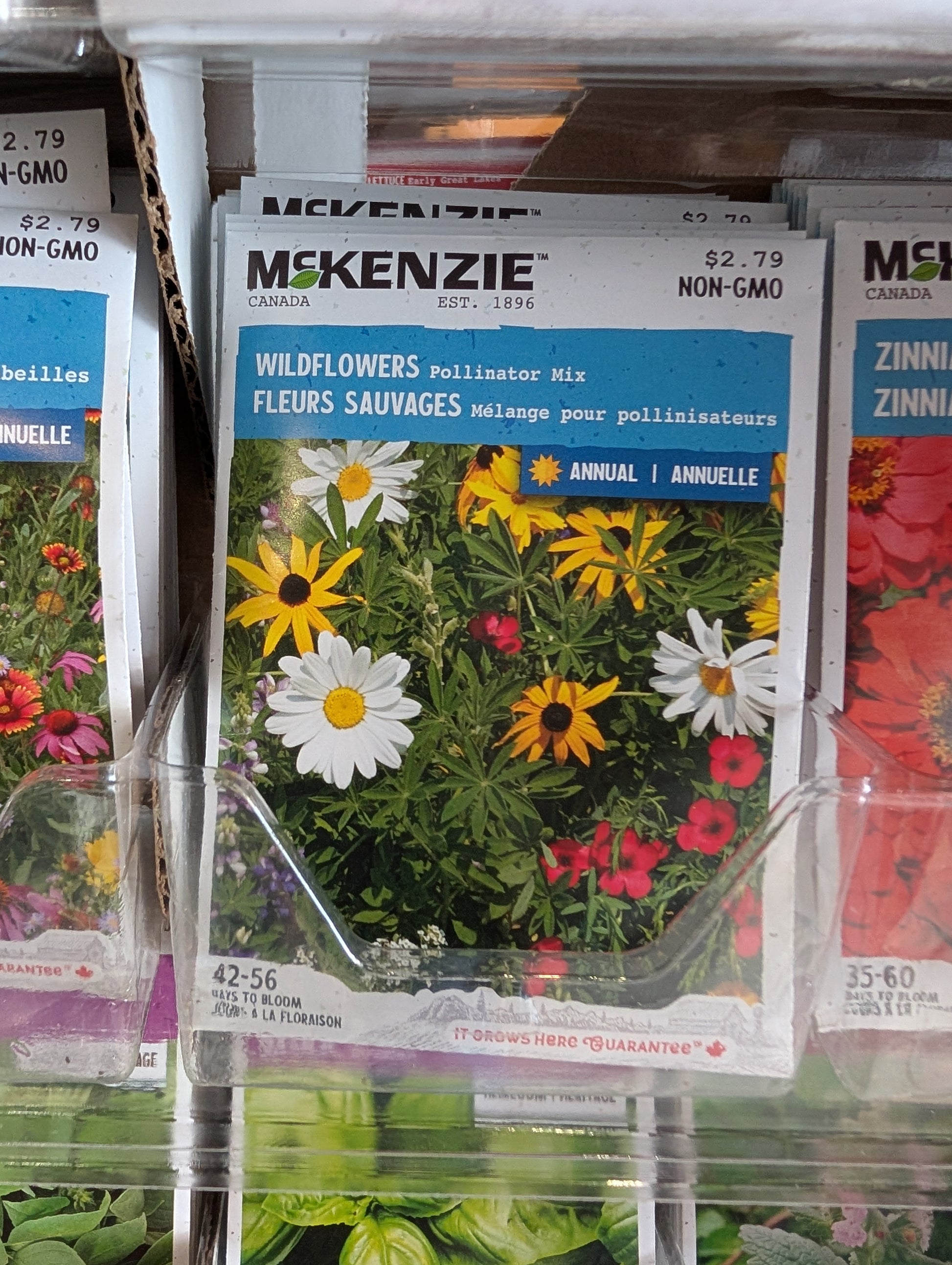 mckenzie wildflower seeds Wildflowers Pollinator Mix – Riverdene Garden Centre