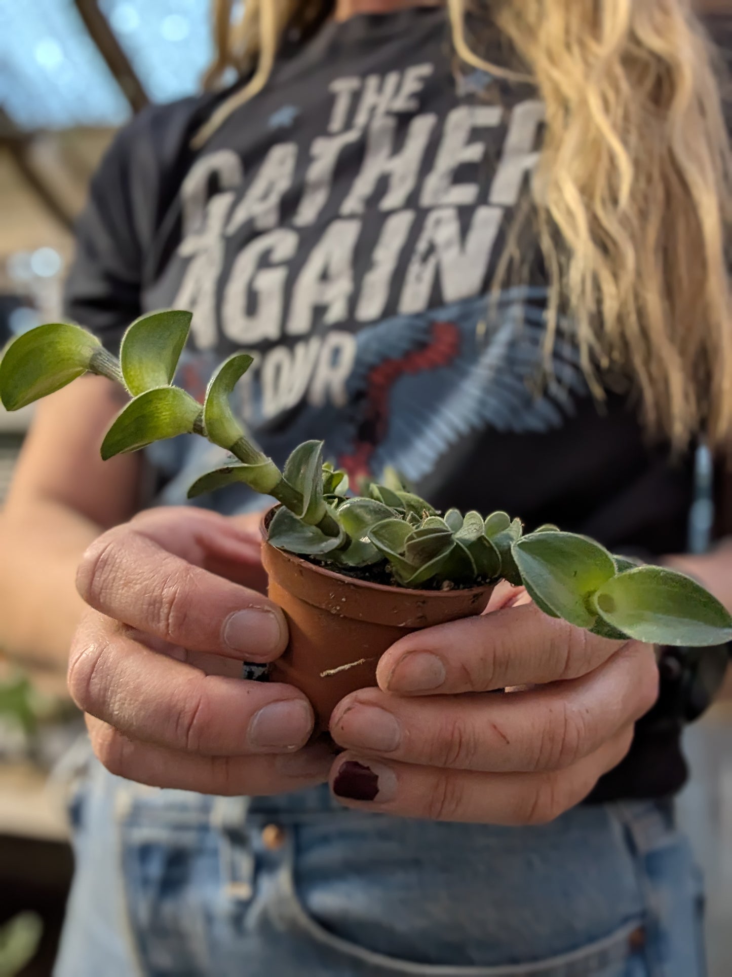 Chain Plant