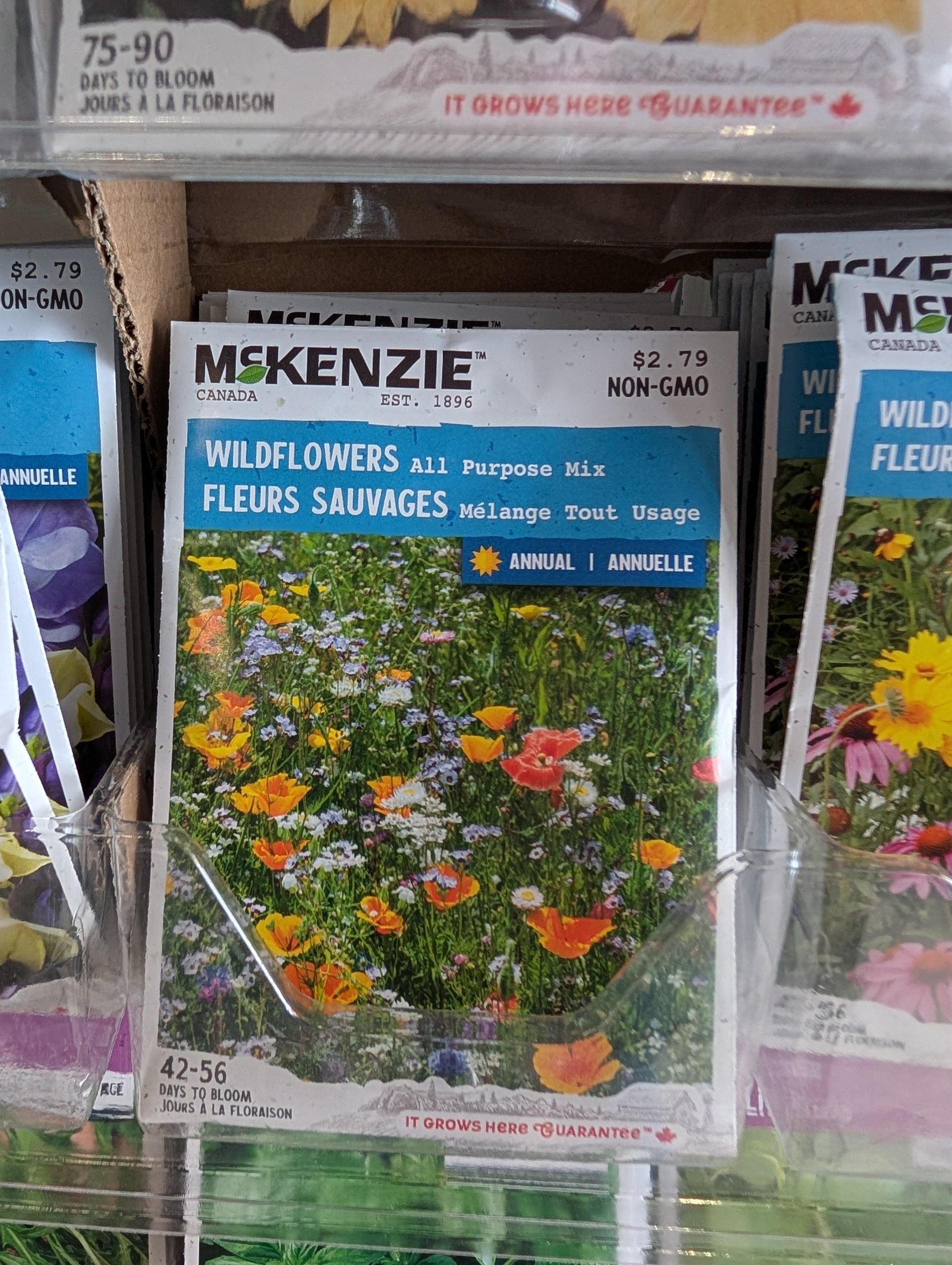 mckenzie wildflower seeds Wildflowers Honeybee Mix – Riverdene Garden Centre