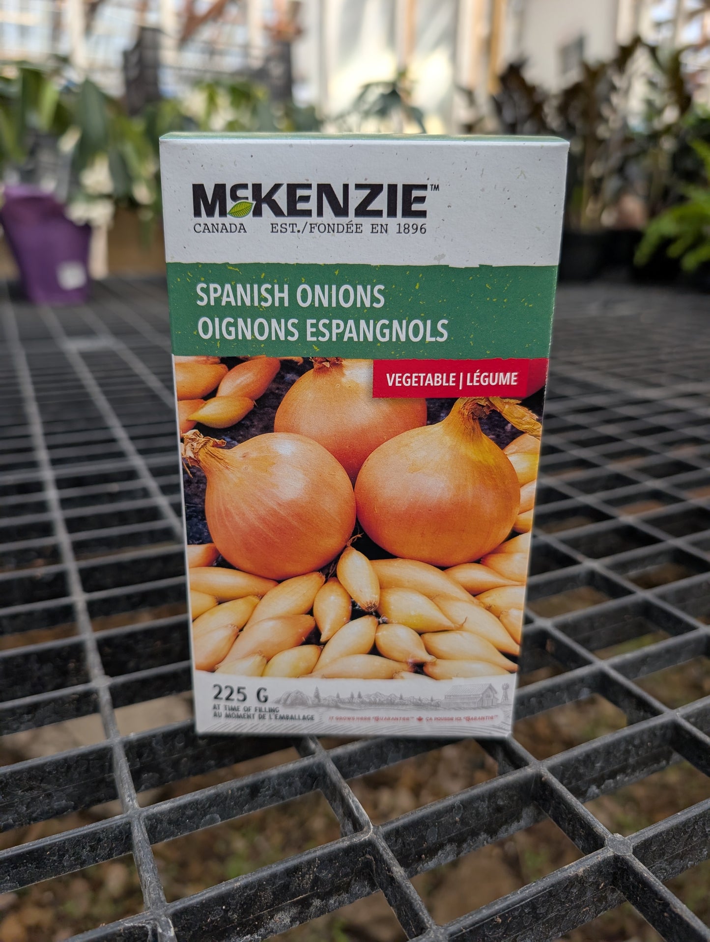 Spanish Onions