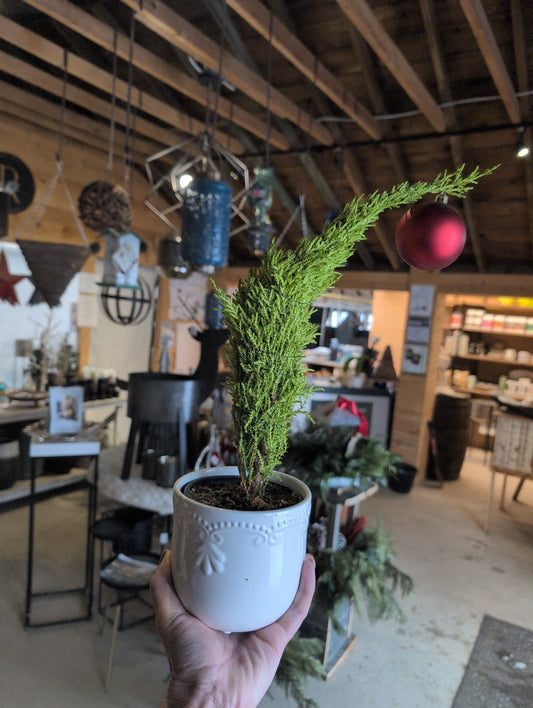 Grinch-y Cypress Tree