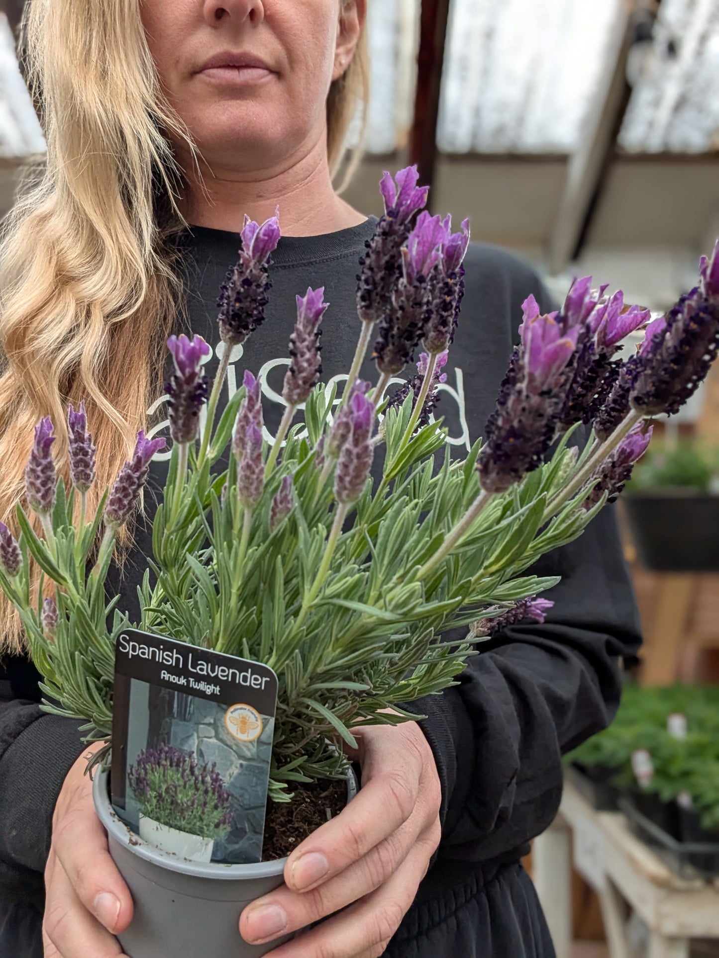 Anouk Twilight Lavender
