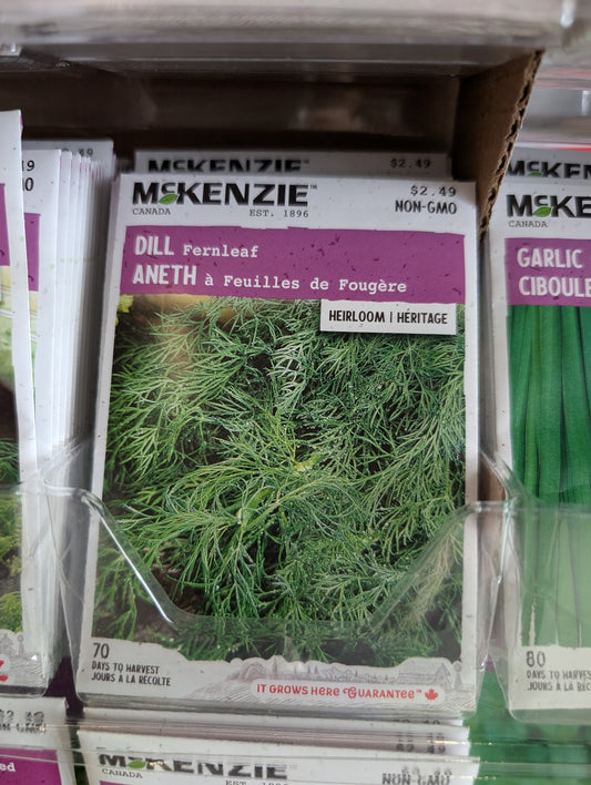 Dill Fernleaf