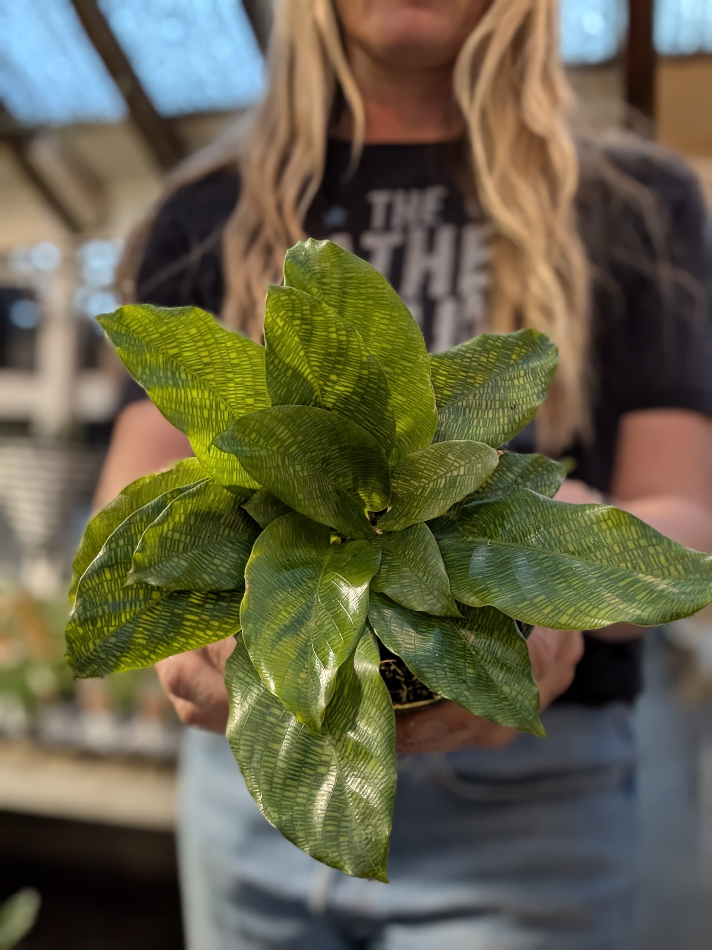 Calathea Network
