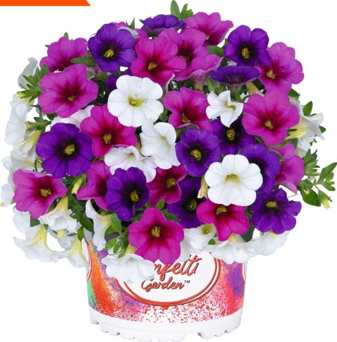 Blue Tones Hanging Basket