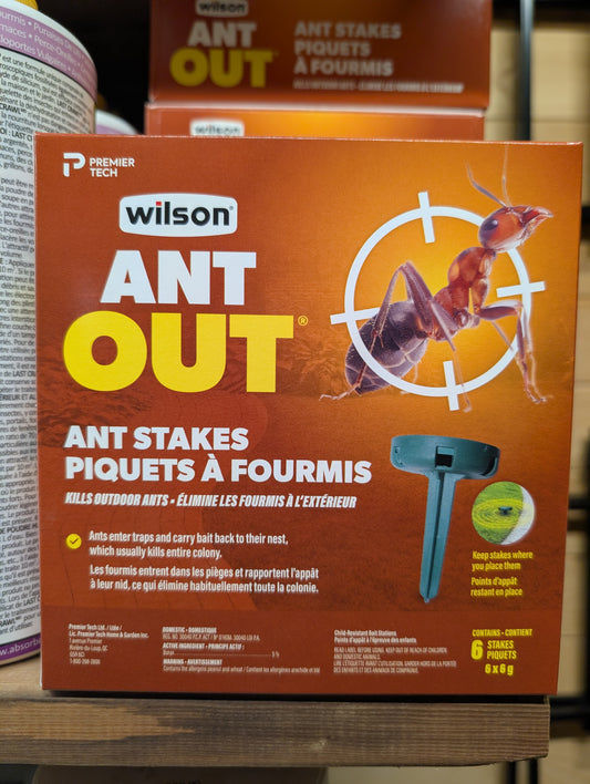 Wilson's Ant Out