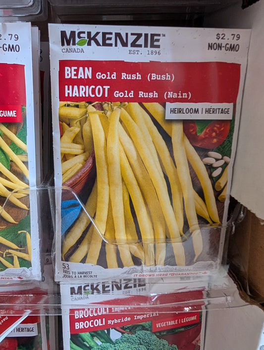 Gold Rush Bean (Bush)