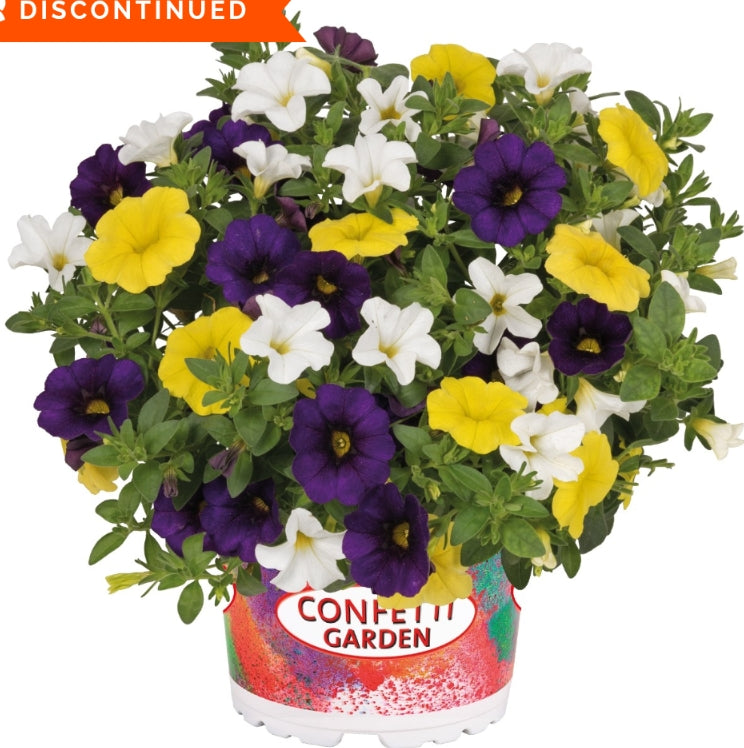 Blue Tones Hanging Basket