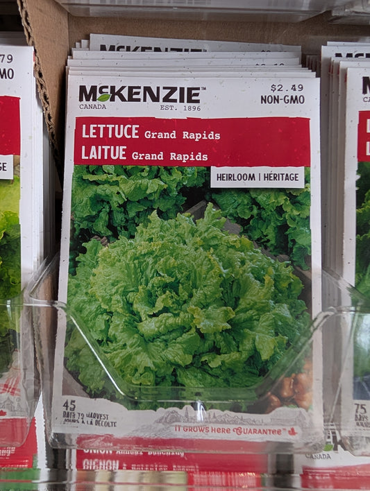 Grand Rapids Lettuce
